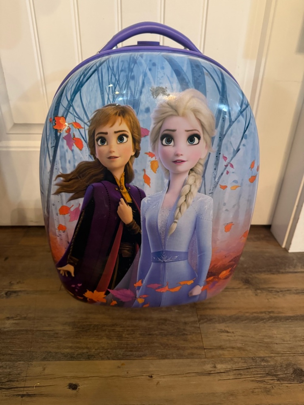 Heys Frozen Luggage